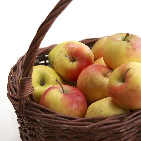 Der Stockinger 3* Unterpremstätten