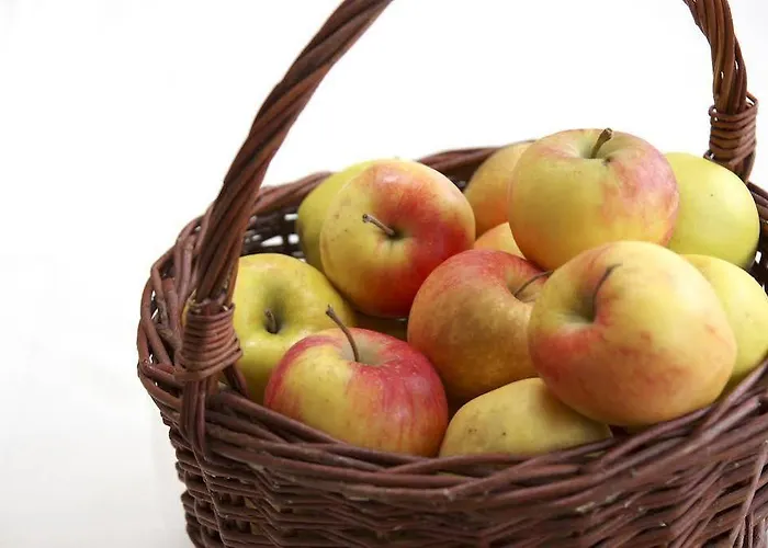 Hotel Der Stockinger 3* Unterpremstaetten